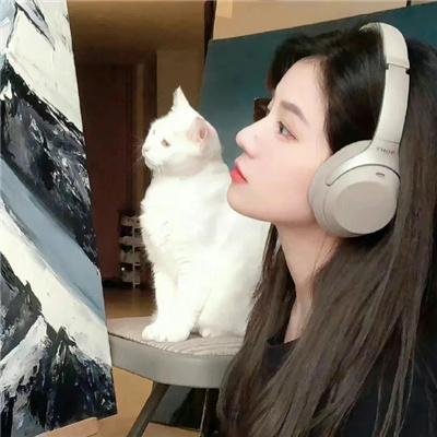 猫和老鼠：飙风天王